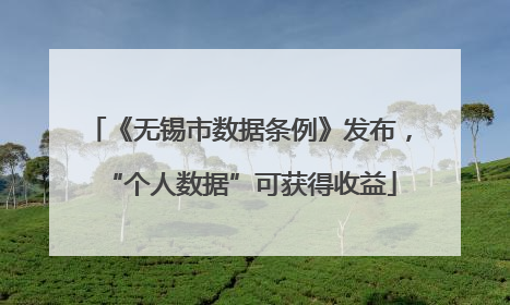 《无锡市数据条例》发布，“个人数据”可获得收益