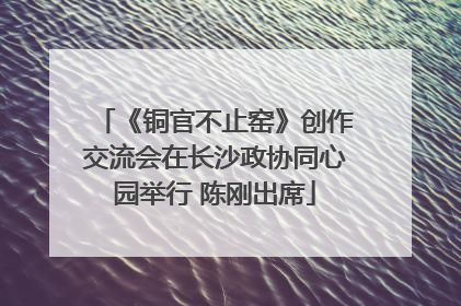 《铜官不止窑》创作交流会在长沙政协同心园举行 陈刚出席