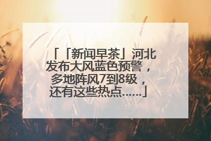 「新闻早茶」河北发布大风蓝色预警，多地阵风7到8级，还有这些热点……