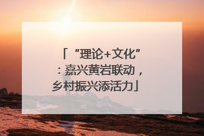 “理论+文化”：嘉兴黄岩联动，乡村振兴添活力