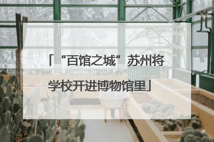 “百馆之城”苏州将学校开进博物馆里