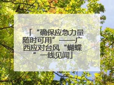 “确保应急力量随时可用”——广西应对台风“蝴蝶”一线见闻