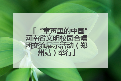 “童声里的中国”河南省文明校园合唱团交流展示活动（郑州站）举行