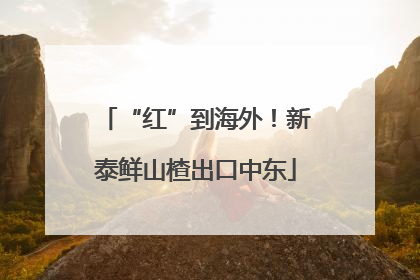 “红”到海外！新泰鲜山楂出口中东