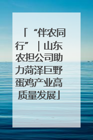 “伴农同行”｜山东农担公司助力菏泽巨野蛋鸡产业高质量发展