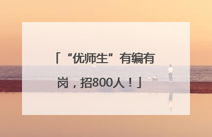 “优师生”有编有岗，招800人！