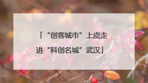 “创客城市”上虞走进“科创名城”武汉