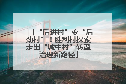 “后进村”变“后劲村”！胜利村探索走出“城中村”转型治理新路径