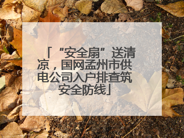 “安全扇”送清凉，国网孟州市供电公司入户排查筑安全防线