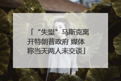 “失望”马斯克离开特朗普政府 媒体称当天两人未交谈