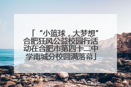 “小篮球，大梦想”合肥狂风公益校园行活动在合肥市第四十二中学南城分校圆满落幕