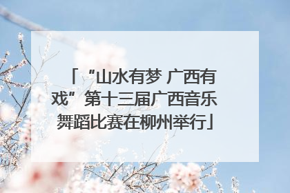 “山水有梦 广西有戏”第十三届广西音乐舞蹈比赛在柳州举行