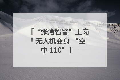 “张湾智警”上岗！无人机变身 “空中 110”