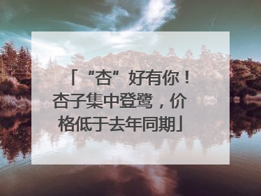 “杏”好有你！杏子集中登鹭，价格低于去年同期