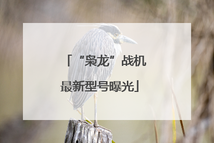 “枭龙”战机最新型号曝光