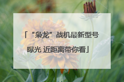 “枭龙”战机最新型号曝光 近距离带你看