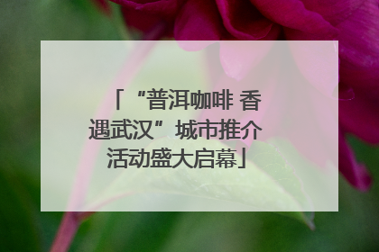 “普洱咖啡 香遇武汉”城市推介活动盛大启幕
