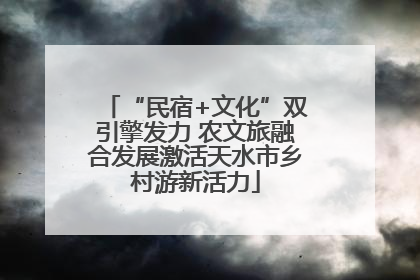 “民宿+文化”双引擎发力 农文旅融合发展激活天水市乡村游新活力