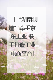 “湖南制造”牵手京东工业 联手打造工业电商平台