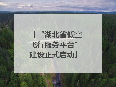 “湖北省低空飞行服务平台”建设正式启动