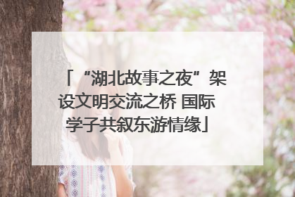 “湖北故事之夜”架设文明交流之桥 国际学子共叙东游情缘