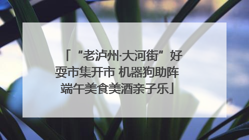 “老泸州·大河街”好耍市集开市 机器狗助阵端午美食美酒亲子乐