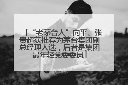 “老茅台人”向平、张贵超获推荐为茅台集团副总经理人选，后者是集团最年轻党委委员