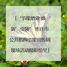 “节能增效 焕‘新’引领” 枣庄市公共机构节能宣传周现场活动精彩纷呈