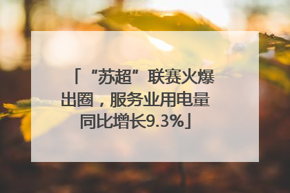“苏超”联赛火爆出圈，服务业用电量同比增长9.3%
