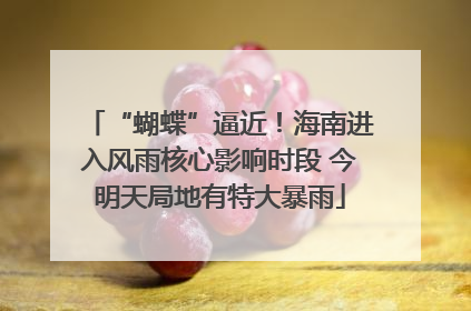 “蝴蝶”逼近！海南进入风雨核心影响时段 今明天局地有特大暴雨