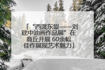 “西渡东望——刘建中油画作品展”在商丘开展 60余幅佳作展现艺术魅力