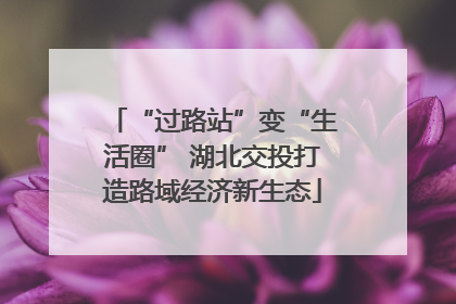 “过路站”变“生活圈” 湖北交投打造路域经济新生态