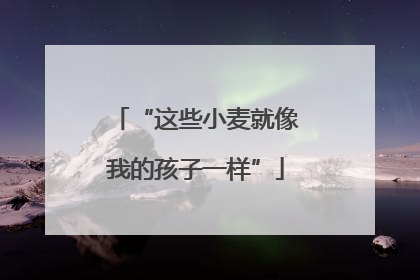 “这些小麦就像我的孩子一样”