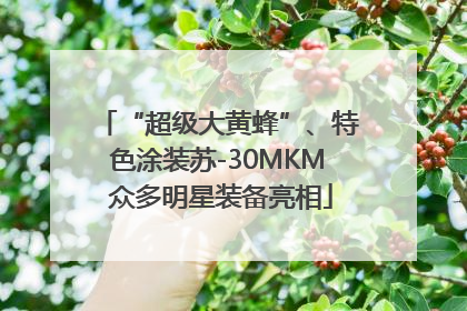 “超级大黄蜂”、特色涂装苏-30MKM 众多明星装备亮相