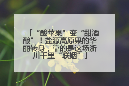 “酸苹果”变“甜酒酿”！盐源高原果的华丽转身，靠的是这场浙川千里“联姻”