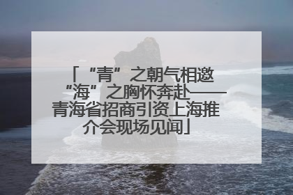 “青”之朝气相邀 “海”之胸怀奔赴——青海省招商引资上海推介会现场见闻