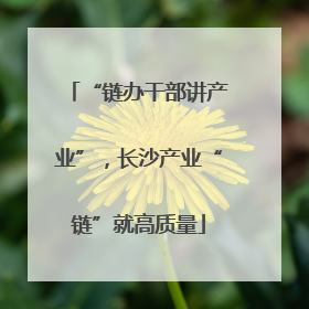 “链办干部讲产业”，长沙产业“链”就高质量