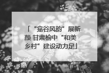 “龛谷风韵”展新颜 甘肃榆中“和美乡村”建设动力足