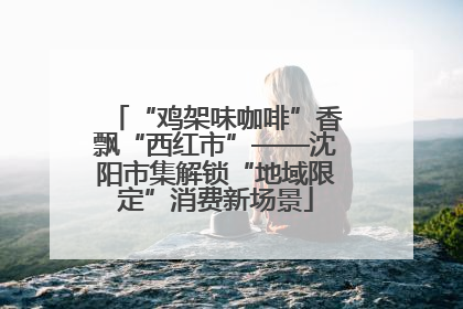 “鸡架味咖啡”香飘“西红市”——沈阳市集解锁“地域限定”消费新场景