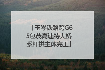 玉岑铁路跨G65包茂高速特大桥系杆拱主体完工