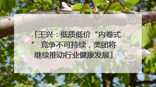 王兴：低质低价“内卷式” 竞争不可持续，美团将继续推动行业健康发展