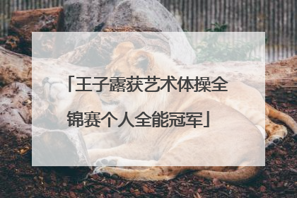 王子露获艺术体操全锦赛个人全能冠军