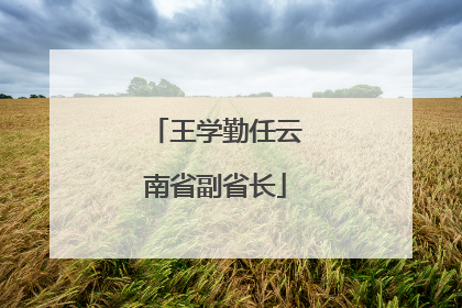 王学勤任云南省副省长
