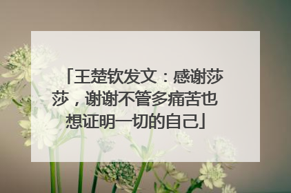 王楚钦发文：感谢莎莎，谢谢不管多痛苦也想证明一切的自己
