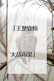王楚钦将大战雨果