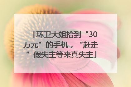 环卫大姐拾到“30万元”的手机，“赶走”假失主等来真失主