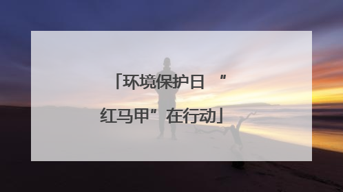 环境保护日 “红马甲”在行动