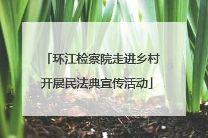 环江检察院走进乡村开展民法典宣传活动