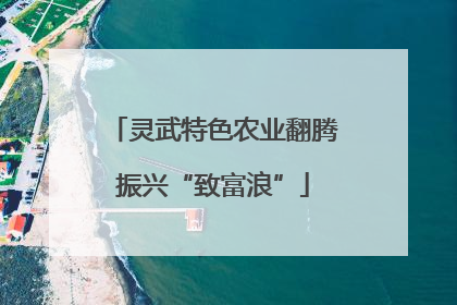 灵武特色农业翻腾振兴“致富浪”