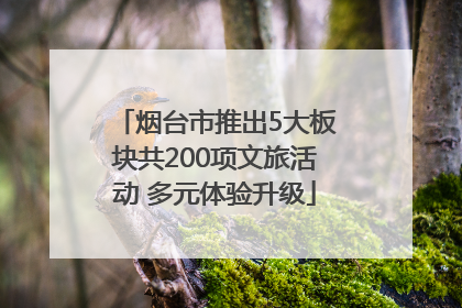 烟台市推出5大板块共200项文旅活动 多元体验升级